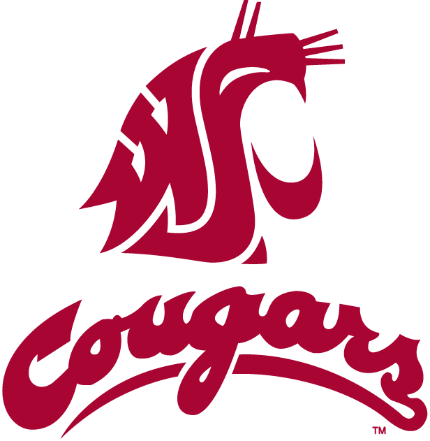 Washington State Cougars 1995-2010 Alternate Logo diy fabric transfer...